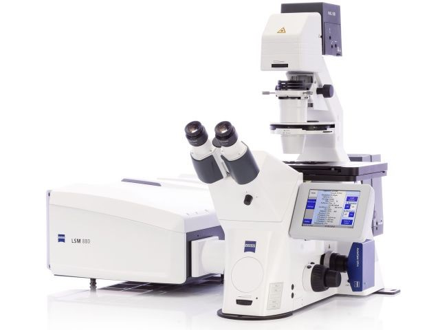 超高分辨率共聚焦显微镜